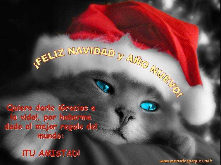 Quiero darle gracias a la vida, por haberme dado el mejor regalo del Mundo. ¡Tu Amistad! ¡Feliz Navidad y Año Nuevo!