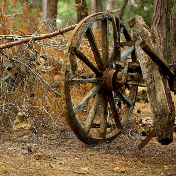 Historia de la Rueda Los orígenes de la rueda