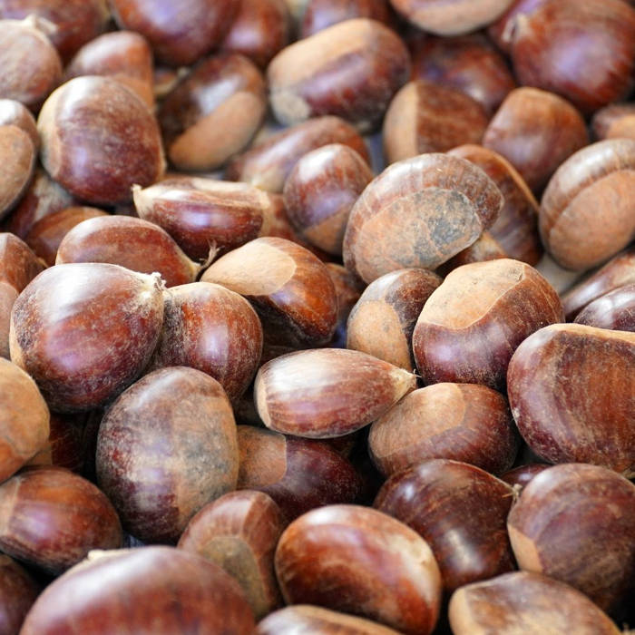 Castañada en familia: castañas, panellets y frutos secos con niños Castañas
