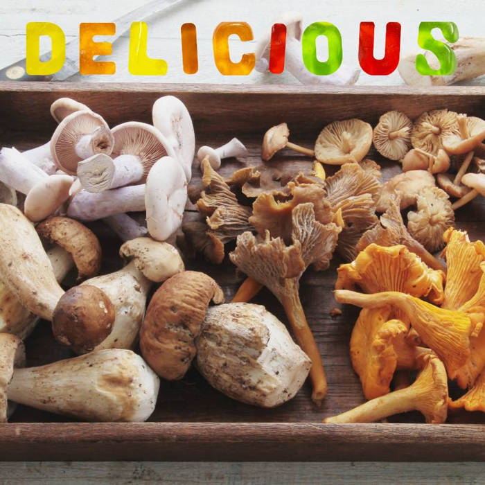 Recetas fáciles y sabrosas con setas de otoño recetas con setas