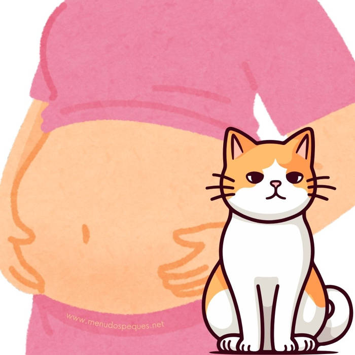 gatos, embarazo, mascotas, comportamiento