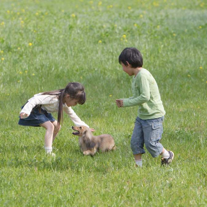 Cómo enseñar a los niños a cuidar de las mascotas con responsabilidad Estrategias para enseñar a los niños a cuidar de las mascotas