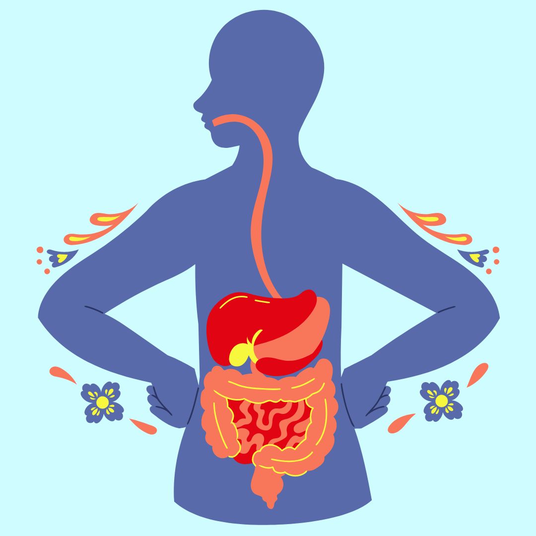 ¿Cuál es la función de la digestión?, datos interesantes, niños,