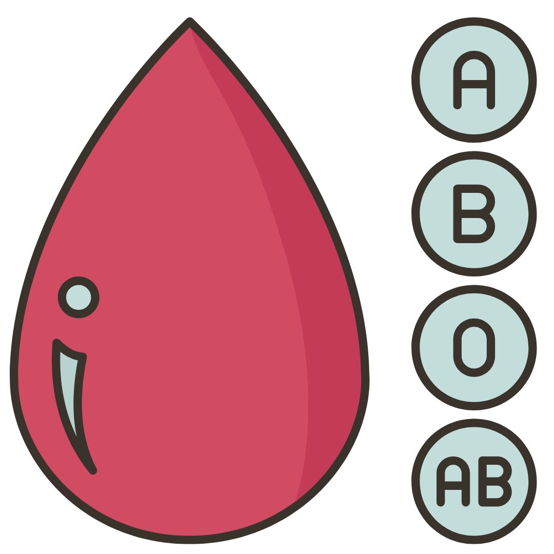 ¿Por qué los grupos sanguíneos son importantes?, datos interesantes, niños,